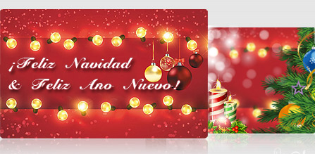 ¡Feliz Navidad & Feliz Año Nuevo!